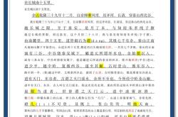 泰山传射建功，那不勒斯新星横空出世，场边球探频频记笔记